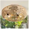 TANANT Ventilateur de plafond de style bohème avec rotin fermé, 6 vite...