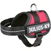 JULIUS K-9 Laisse pour chien LCC® Taille XS Convient aux petits chiens Confortable et résistant