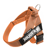 Julius K9 Arnes Ruban, Couleur & Gray Size: 0, Orange 1 Unité 400 g