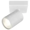 Braytron Beta Plafondspot Spotje  Opbouwspot - Aluminium-Verstelbare Spots - Wit - GU10 Fitting