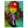 Enjoy Puzzle Perroquet Coloré Puzzle-1787