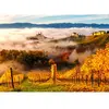 Puzzle 1000 pièces ENJOY - Dans les Vignes
