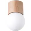 Sollux Boomo Downlight Moderne Monté En Surface En Bois De 19 Cm 1x G9