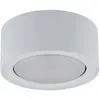 EULUNA Spot Plafond Flea En Acier, Blanc