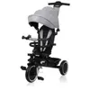 Tricycle évolutif bébé 2en1 LIONELO Berry - Jusqu'à 25 Kg - Siège réve...