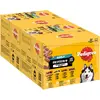 Pedigree Adult in Gelei Protein+ Maaltijdzakjes Multipack - 12x85 gr