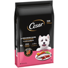 Lot économique : 2x7kg Cesar Adult avec poulet, saumon et légumes Nour...