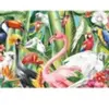 Trefl Puzzle - 500 - Paradiesvögel - 37564 (500 pièces)