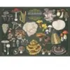 Trefl Puzzle Premium Plus 500 - Pilze (500 pièces)