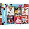 Trefl puzzel - legpuzzel 200 stukjes - Happy dogs - karton.