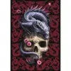 Trefl Trefl 1000 Premium Plus - Fantasy Collection by Anne Stokes: Ori...
