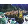 Trefl Premium Plus Quality - Puzzle Photo Odyssey : Île de Madère, Por...