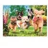 Trefl Puzzle Premium Plus 1000 - Chiens (1000 pièces)