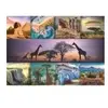 Trefl Puzzle 1000 - Collage - Afrique (1000 Pièce)