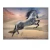 Trefl legpuzzel 1000 stukjes - Majestic Horse paard puzzel.