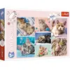 Trefl legpuzzel kattenwereld 100 stukjes karton kleurrijk.