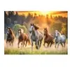 Trefl Puzzle 1500 - Pferde (1500 pièces)