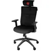 Genesis Ergonomic Chair Astat 200 Black
