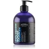 Joanna Professional Shampooing Revitalisant Cheveux Blonds Et Gris 500ml
