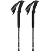 Kije trekkingowe Equinox Viking
