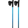 Kije do nordic walking Pro-Trainer Viking