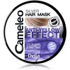 Cameleo - Masque teinté argenté - Pas d'effet jaune - Traitement violet et protection de la couleur pour cheveux blonds, gris et blancs - Tons platine - Protection UV - Sans paraben - 200 ml