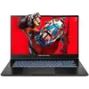 Dream Machines RX5070Ti-17EU20 (17.30", 1000 Go, 16 Go, DE), Ordinateu...