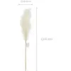 PartyDeco Pampas grass (kunst), light cream, 10 x 45 cm - 1 stuks
