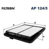 Filtron Filtre à air pour RENAULT: Koleos (Ref: AP 124/5)