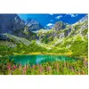Castorland Zelene Pleso, Tatras, Slovaquie 105267