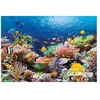 Puzzle Castorland - Poissons des récifs coralliens, 1000 pièces