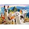 Puzzle 1000 pièces Castorland - Lamas Selfie