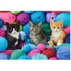 Castorland Chatons dans un Magasin de Laine 104796