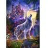 Puzzle Castorland - Château du Loup, 1000 pièces