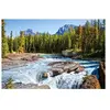 Castorland Canada, Parc National de Jasper : Rivière Athabasca 150762