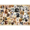 Puzzle 1500 pièces Castorland - Collage avec des chiens