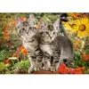 Castorland Puzzel Kitten Buddies - 1500 Stukjes