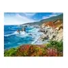 Castorland Côtes de Big Sur, Californie, USA 200856