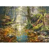 Castorland Legpuzzel Reminiscence Of The Forest - 2000 Stukjes