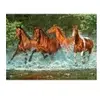 Castorland Legpuzzel Cascade Run Karton 300 Stukjes