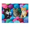 Castorland Chatons 030477