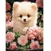 Castorland Chiot Spitz Nain dans les Roses 030552