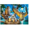 Castorland Owl Family, puzzle de 180 pièces (180 pièces)