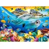 Castorland Puzzle Dolphins in the Tropics 180 pièces (180 pièces)