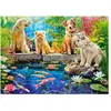 Castorland Puzzle « Rybní ek avec des carpes koï »   120 pièces (120 p...