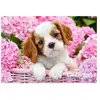 Castorland Legpuzzel Pup In Pink Flowers 500 Stukjes