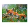 Castorland Rêves de Renard 53872