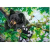 Castorland L'Ours et les Colibris 53629