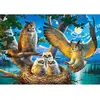 Puzzle Castorland - Famille Chouette, 500 pièces