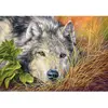 Puzzle Castorland - Âme Pure, 500 pièces